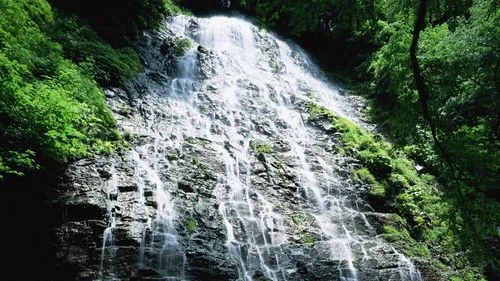 高性能数字化